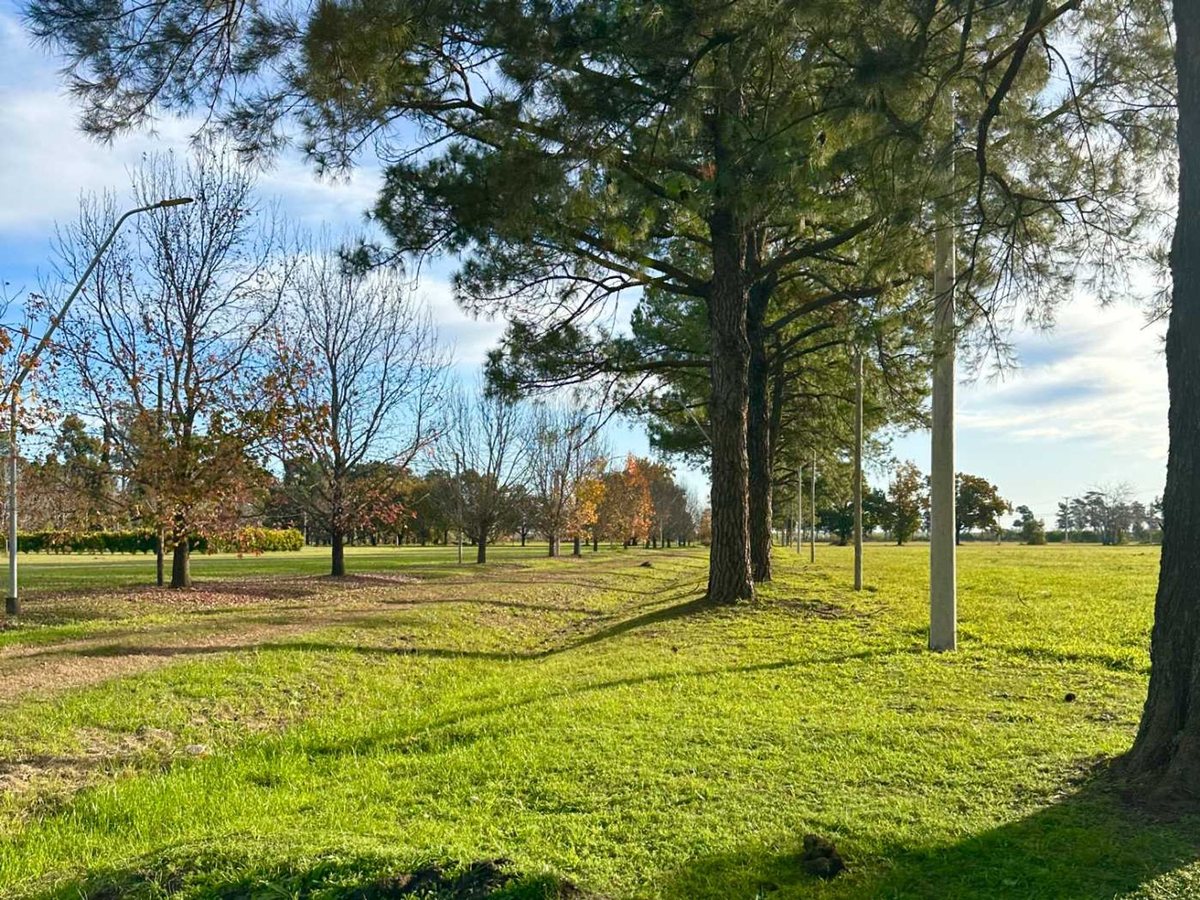 Foto 8 — TERRENO EN VENTA  |  Los Molinos Country Club