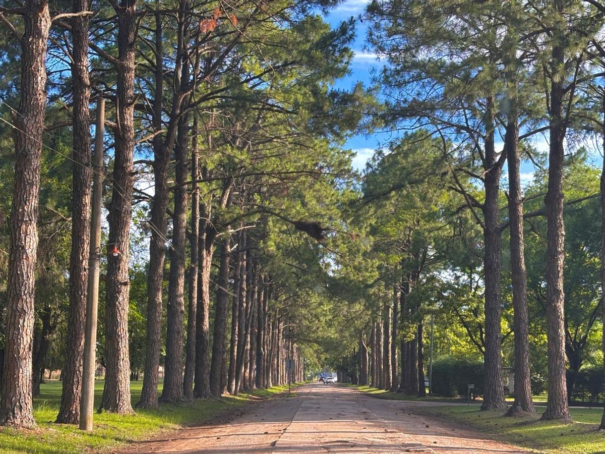 Foto 9 — TERRENO EN VENTA  |  Los Molinos Country Club