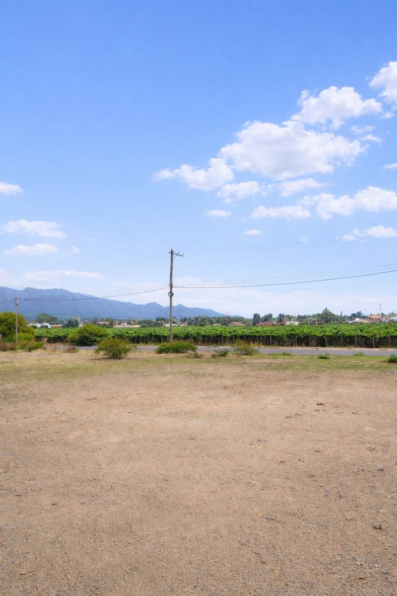 TERRENO EN VENTA EN LA RIBERA DE CAFAYATE - foto 3