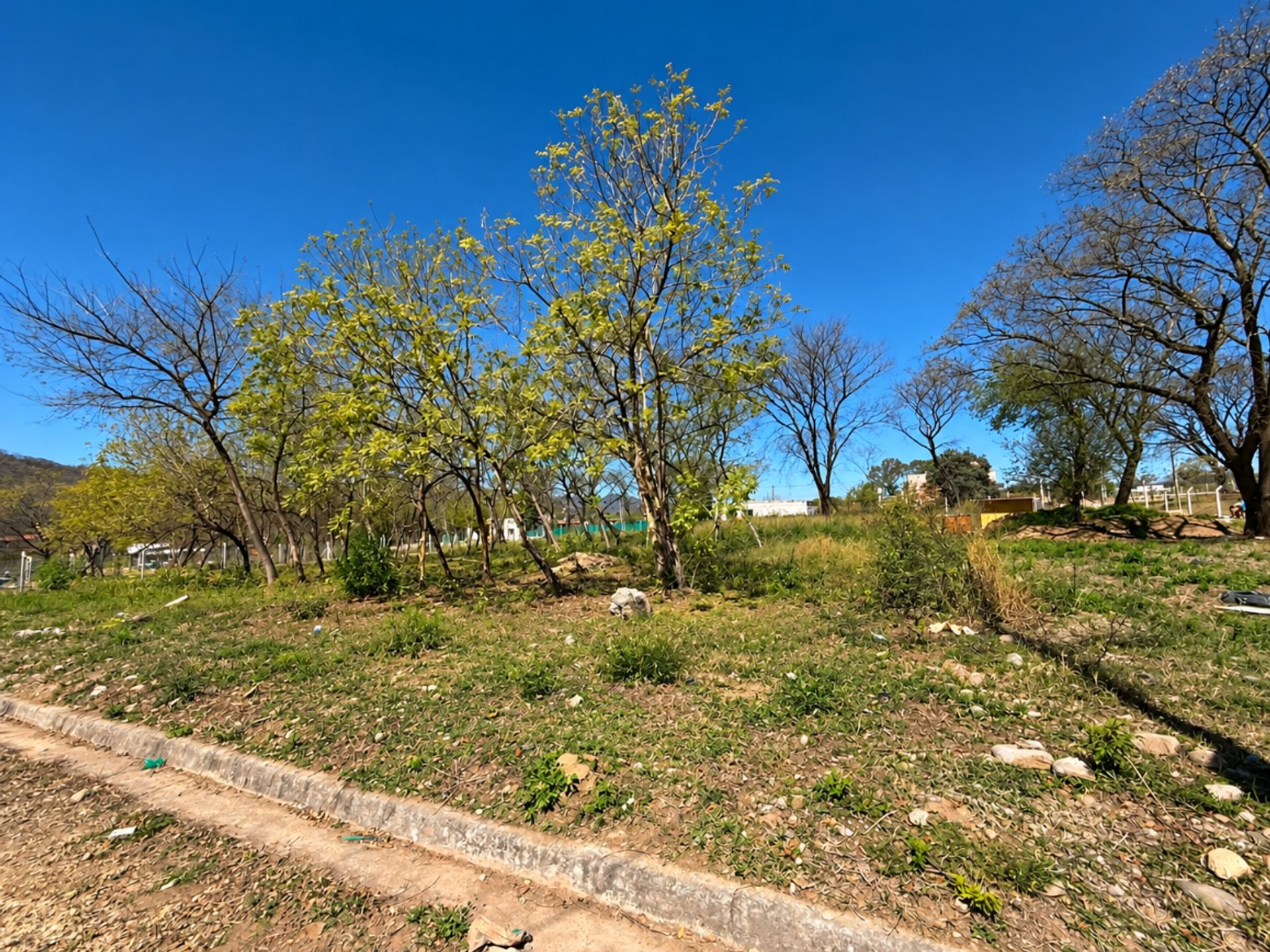 VENTA TERRENO 550M2 ALMERIA VAQUEROS - foto 2
