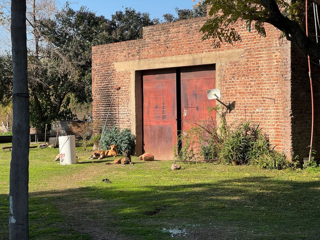 CAMPO EN VENTA 17 HECTAREAS PILAR RUTA 25
