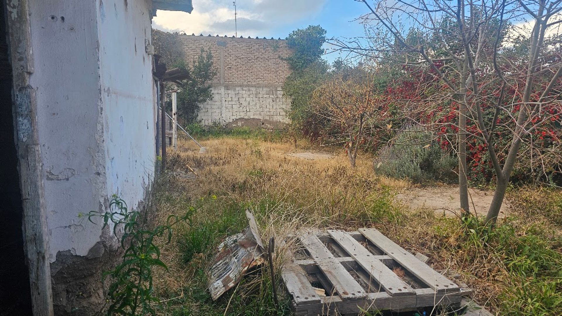 Imagen 3