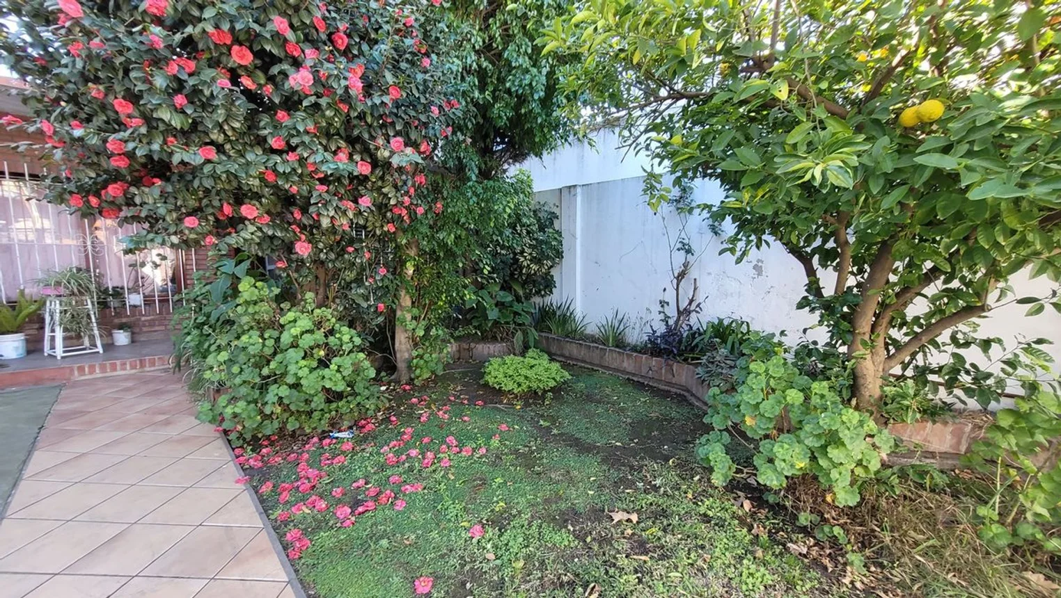 Casa de 6 ambientes en venta en Villa Lugano, Martiniano Leguizamón 3400, foto 2