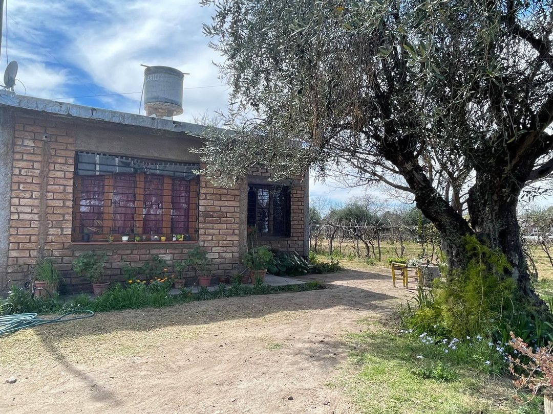 VENTA CASA CON GRAN TERRENO EN RIVADAVIA, MENDOZA