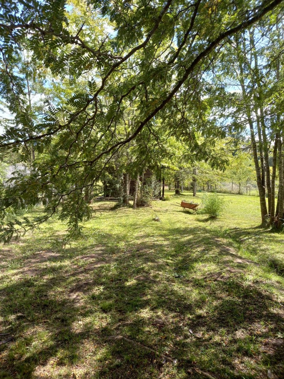 VENTA IMPORTANTE LOTE 1200 M LAS ACACIAS  BRANDSEN