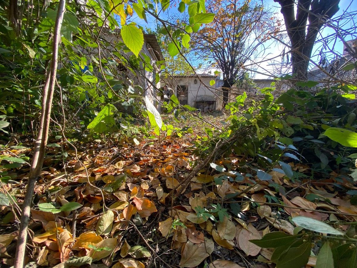 Foto 32 — VENTA CASA EN EL CENTRO DE MORENO