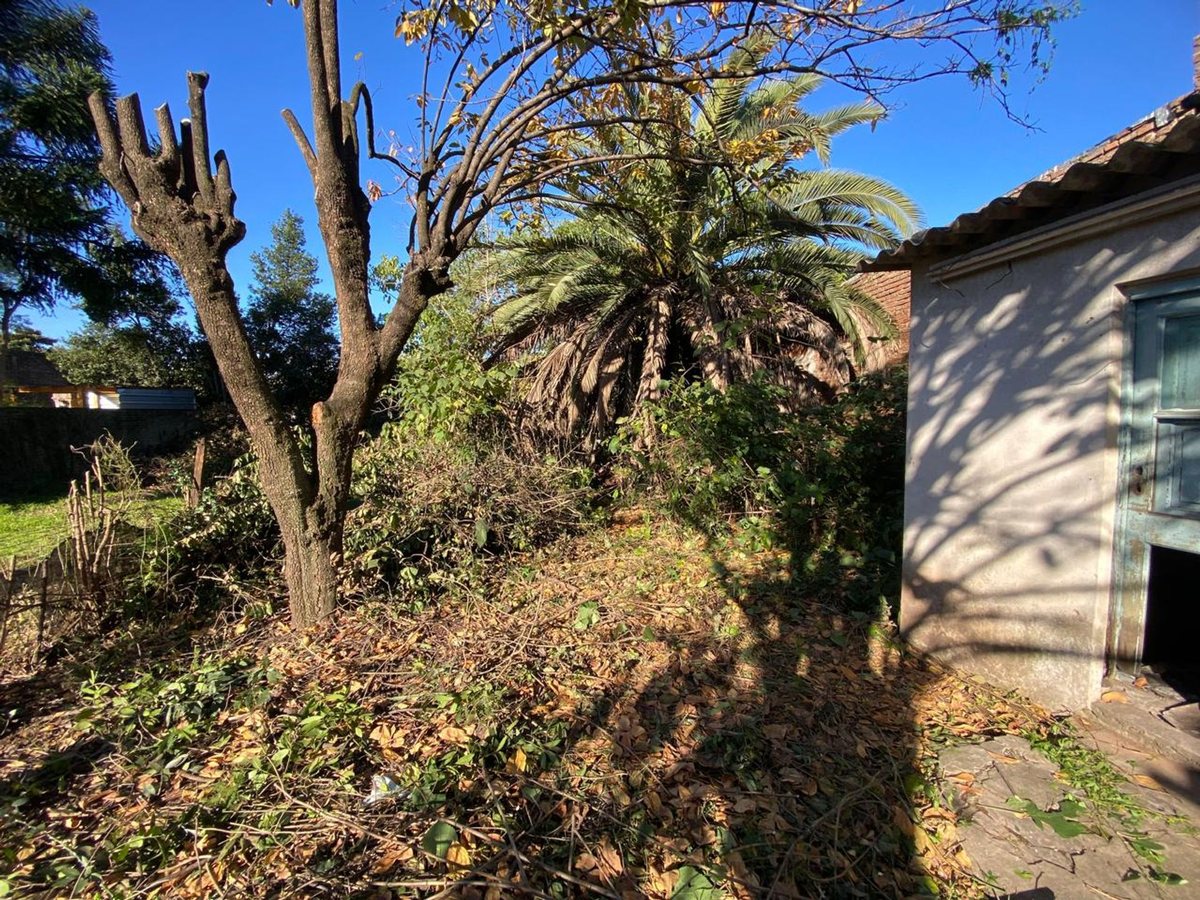 Foto 35 — VENTA CASA EN EL CENTRO DE MORENO