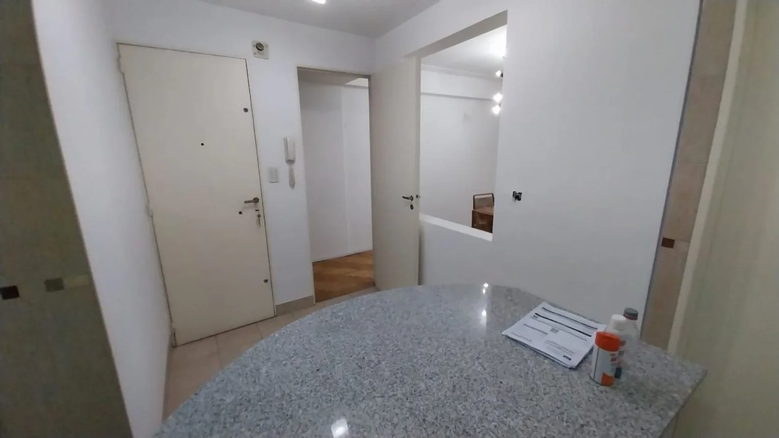 Departamento en venta en Parque Chacabuco, foto 4