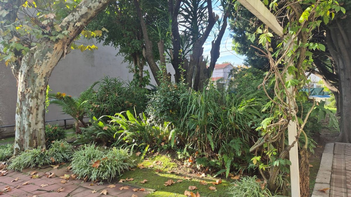 Foto 7 — Venta Lote Bernal Centro