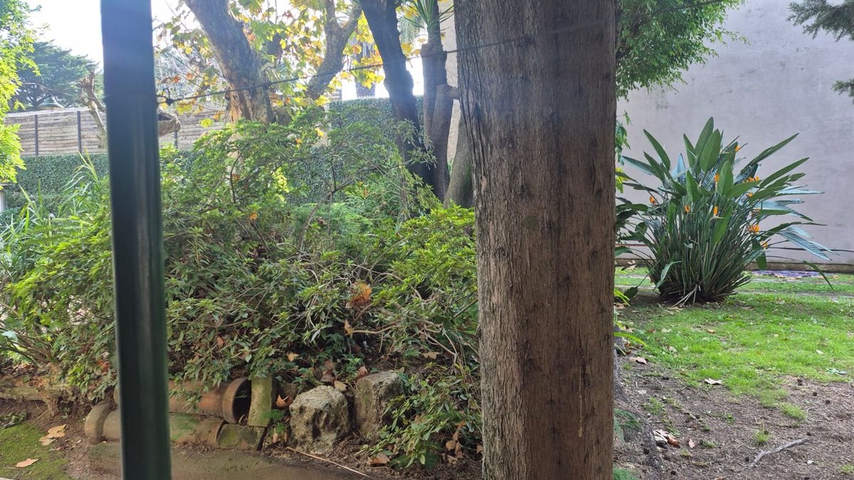 Foto 8 — Venta Lote Bernal Centro