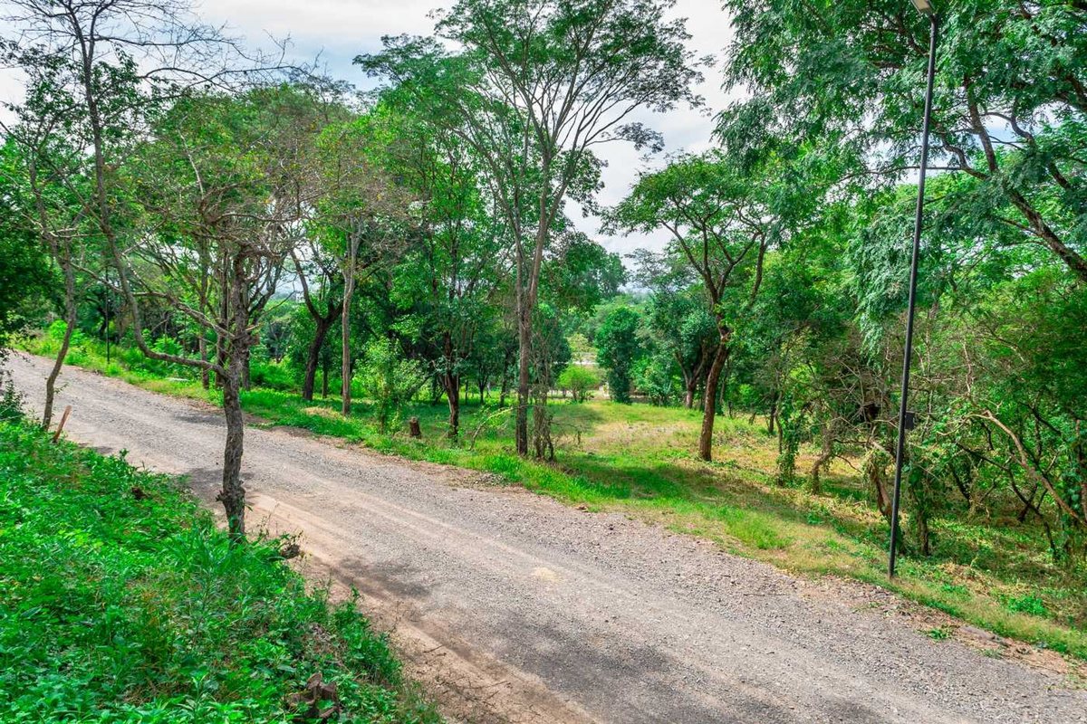 TERRENO EN VENTA EN QUEBRADA DE LOS NOGALES - foto 2