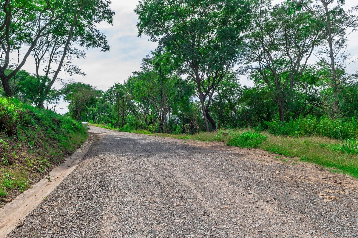 TERRENO EN VENTA EN QUEBRADA DE LOS NOGALES - foto 3