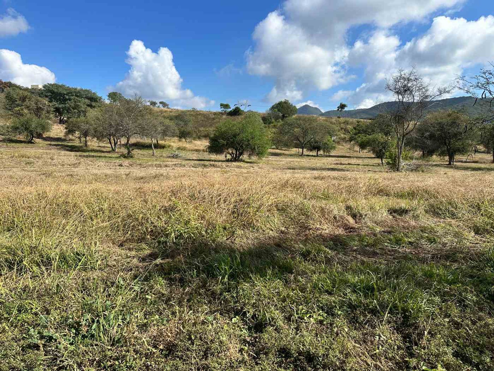 TERRENO VENTA LAS CAÑADAS ACCESO A SALTA RP 9 - foto 6