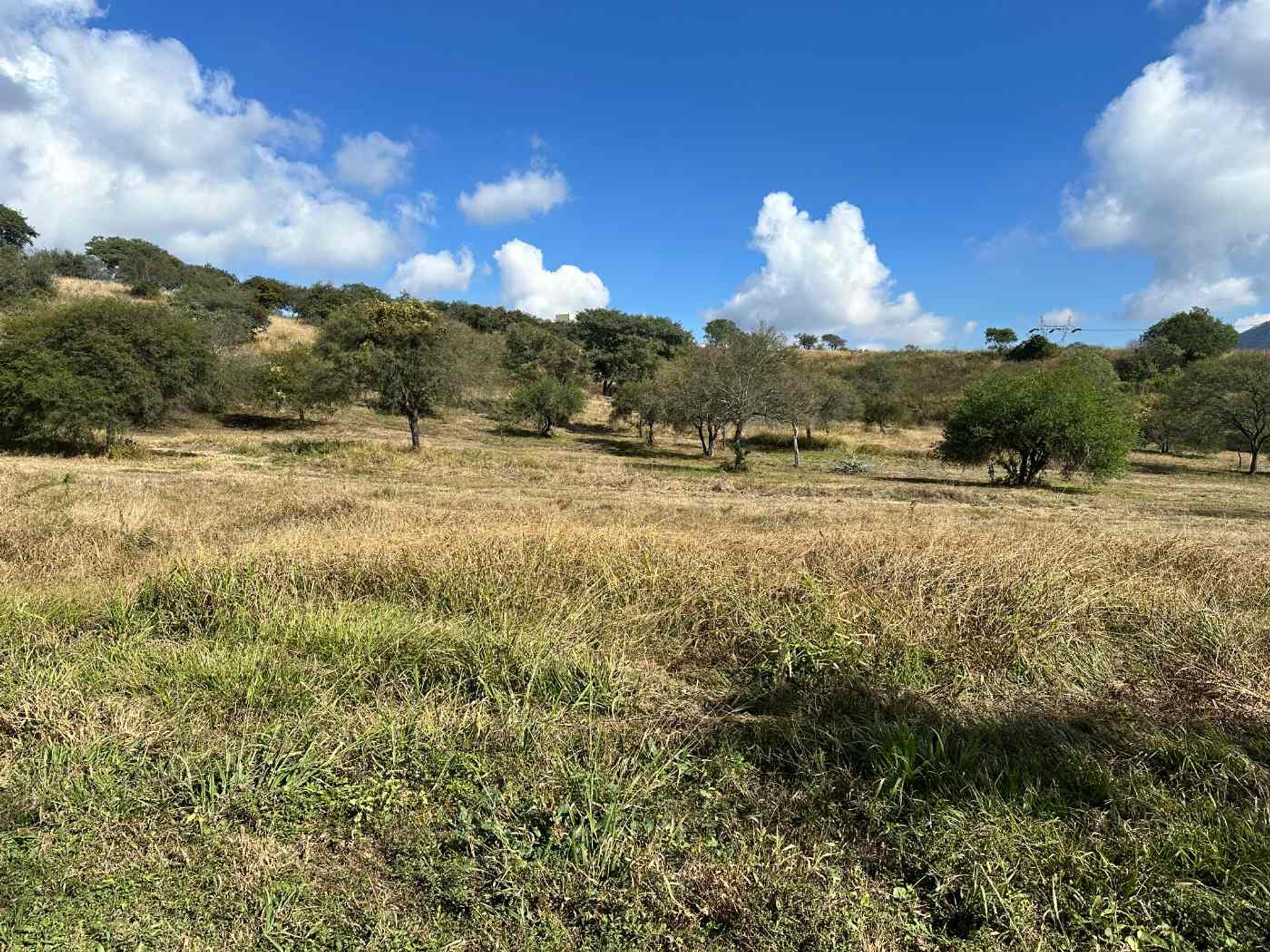 TERRENO VENTA LAS CAÑADAS ACCESO A SALTA RP 9 - foto 8