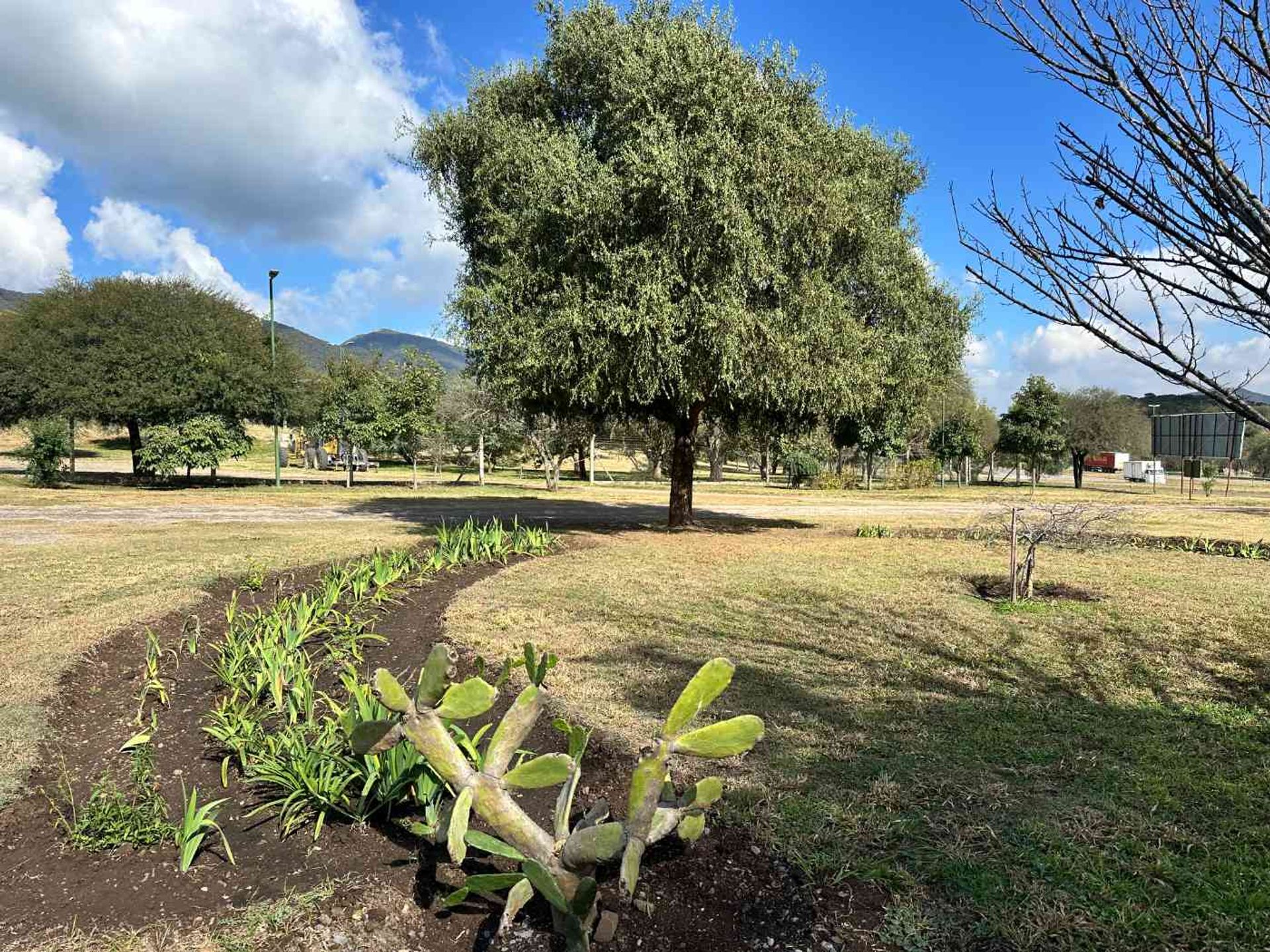 TERRENO VENTA LAS CAÑADAS ACCESO A SALTA RP 9 - foto 2