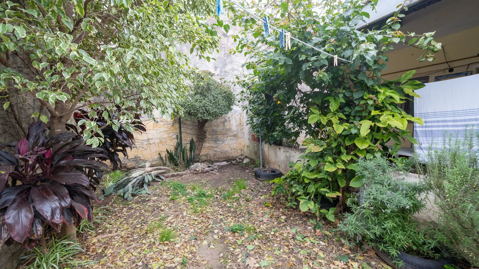 Venta casa pasillo con patio, foto 2