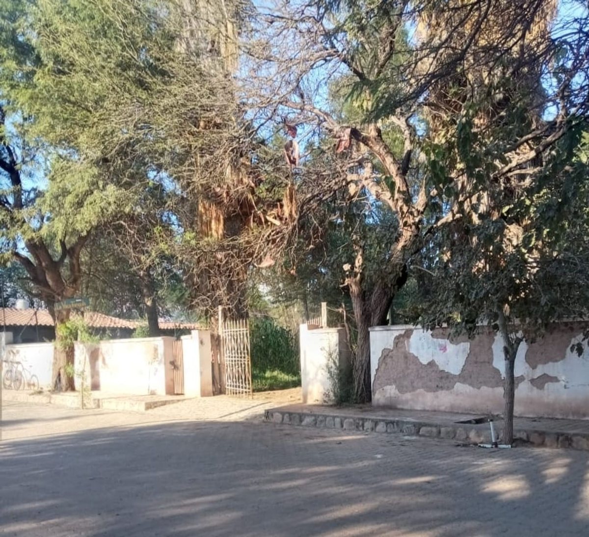 TERRENO VENTA SAN CARLOS VALLES CALCHAQUIES - foto 9