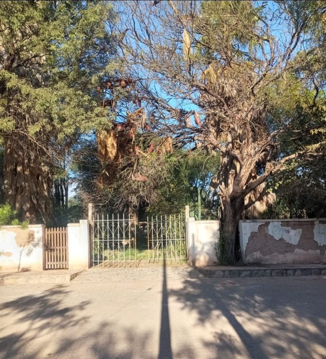 TERRENO VENTA SAN CARLOS VALLES CALCHAQUIES - foto 10