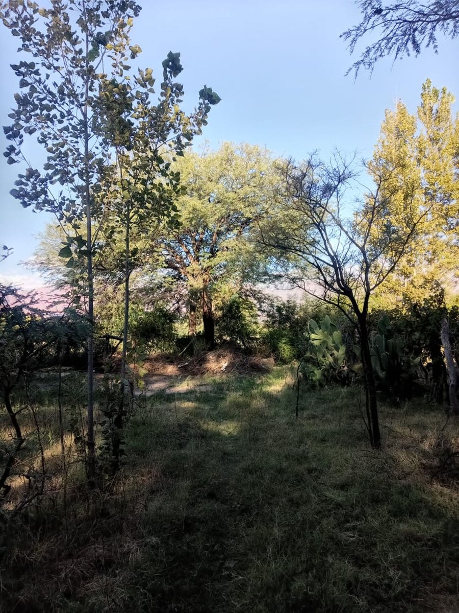 TERRENO VENTA SAN CARLOS VALLES CALCHAQUIES - foto 3