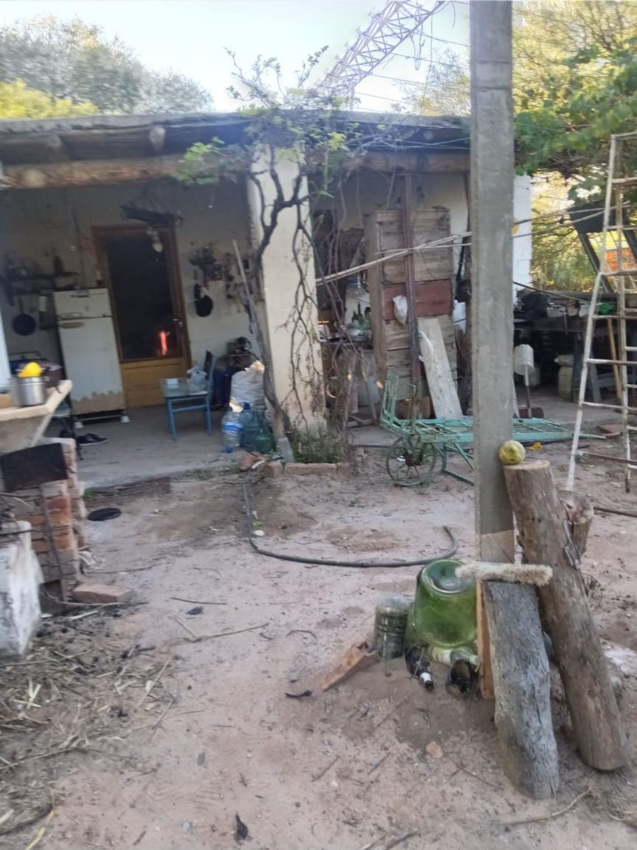 TERRENO VENTA SAN CARLOS VALLES CALCHAQUIES - foto 7