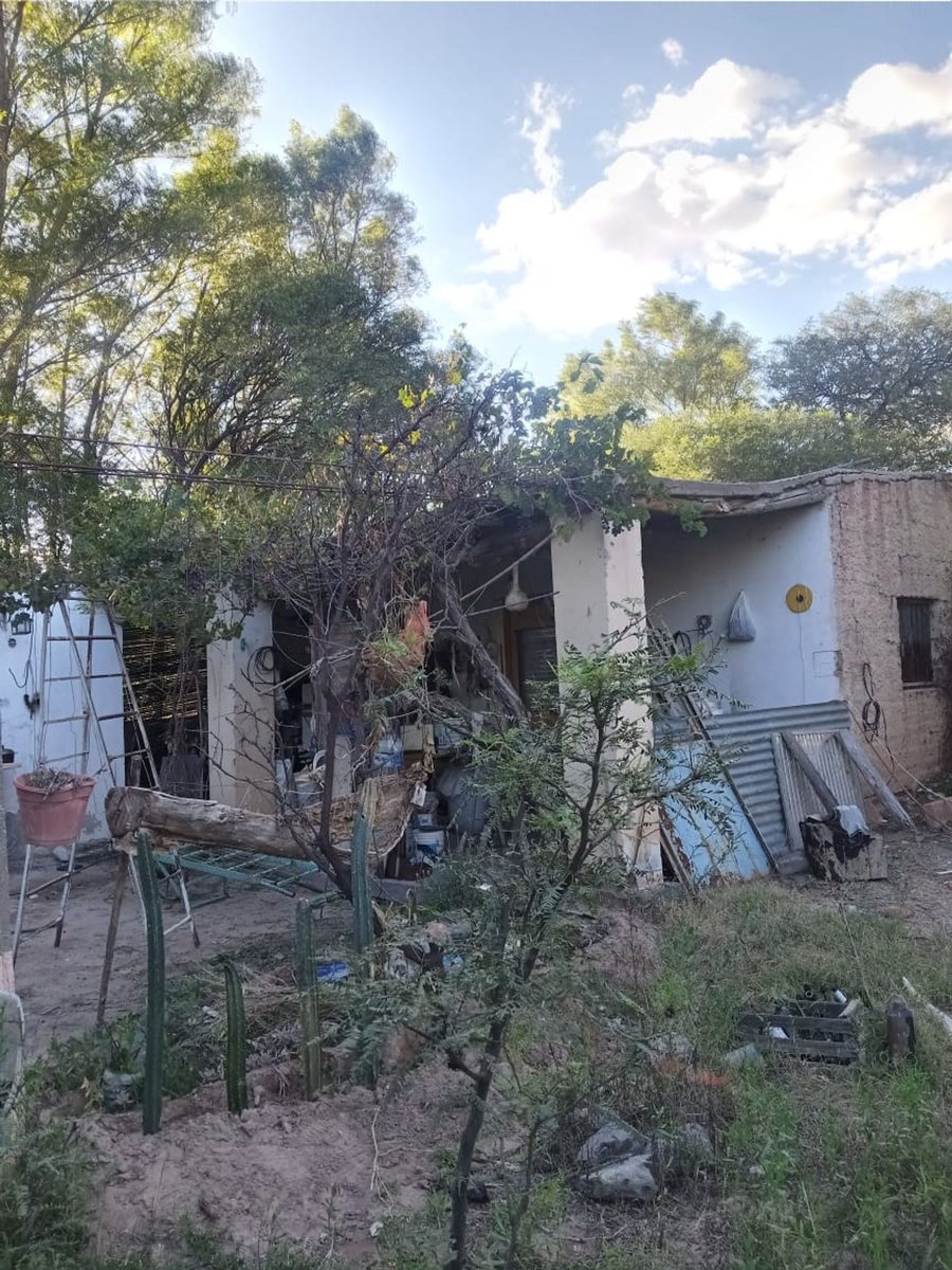 TERRENO VENTA SAN CARLOS VALLES CALCHAQUIES - foto 6