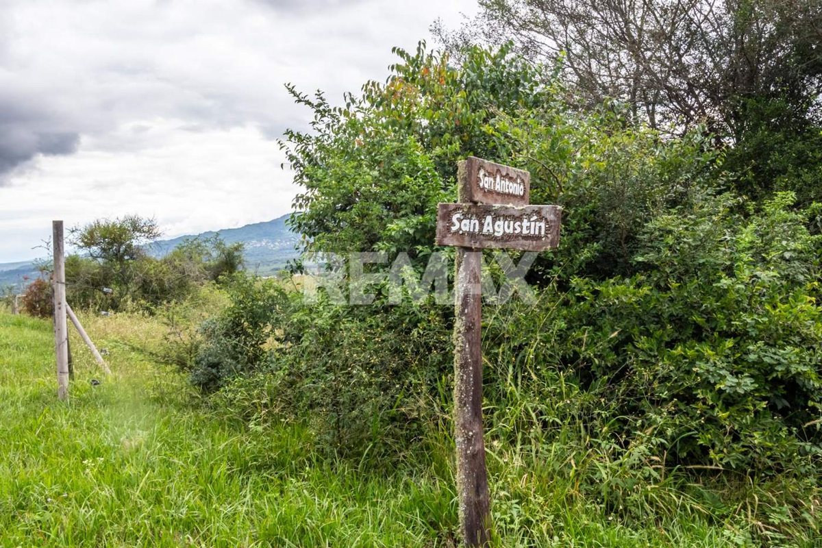 TERRENO VENTA DE 7025 M2 LA CALDERILLA - foto 14