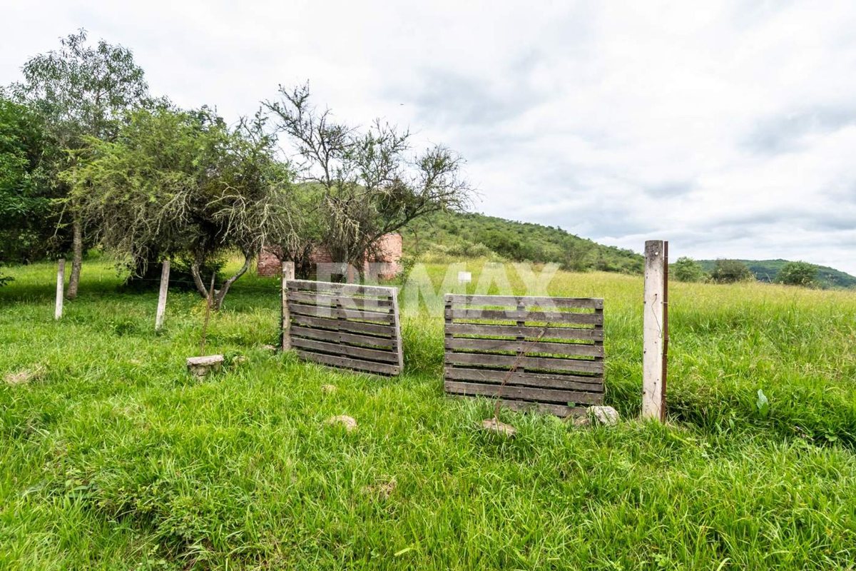 TERRENO VENTA DE 7025 M2 LA CALDERILLA - foto 12
