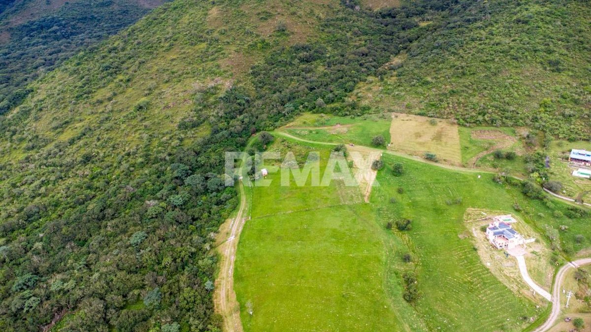 TERRENO VENTA DE 7025 M2 LA CALDERILLA - foto 19