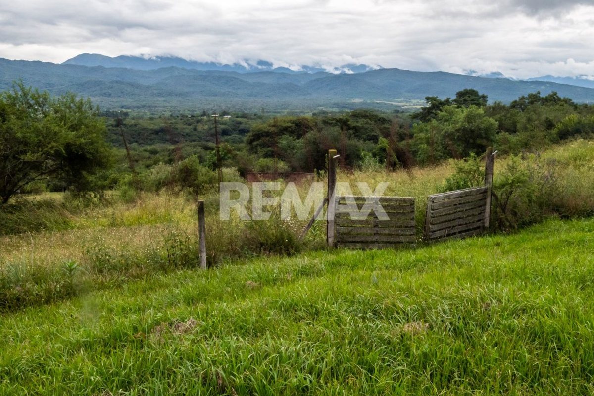 TERRENO VENTA DE 7025 M2 LA CALDERILLA - foto 16