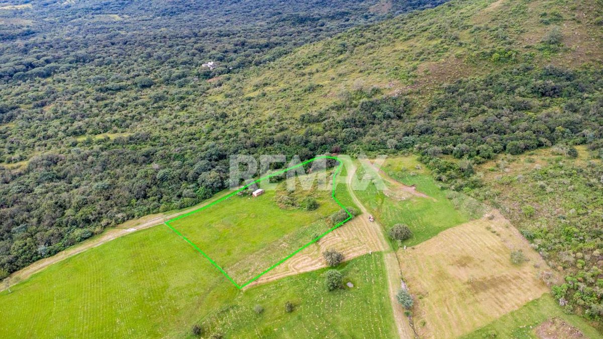 TERRENO VENTA DE 7025 M2 LA CALDERILLA - foto 17