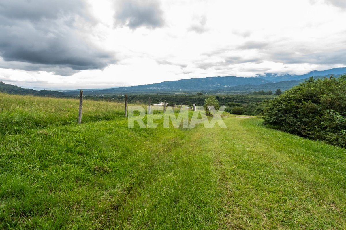 TERRENO VENTA DE 7025 M2 LA CALDERILLA - foto 11