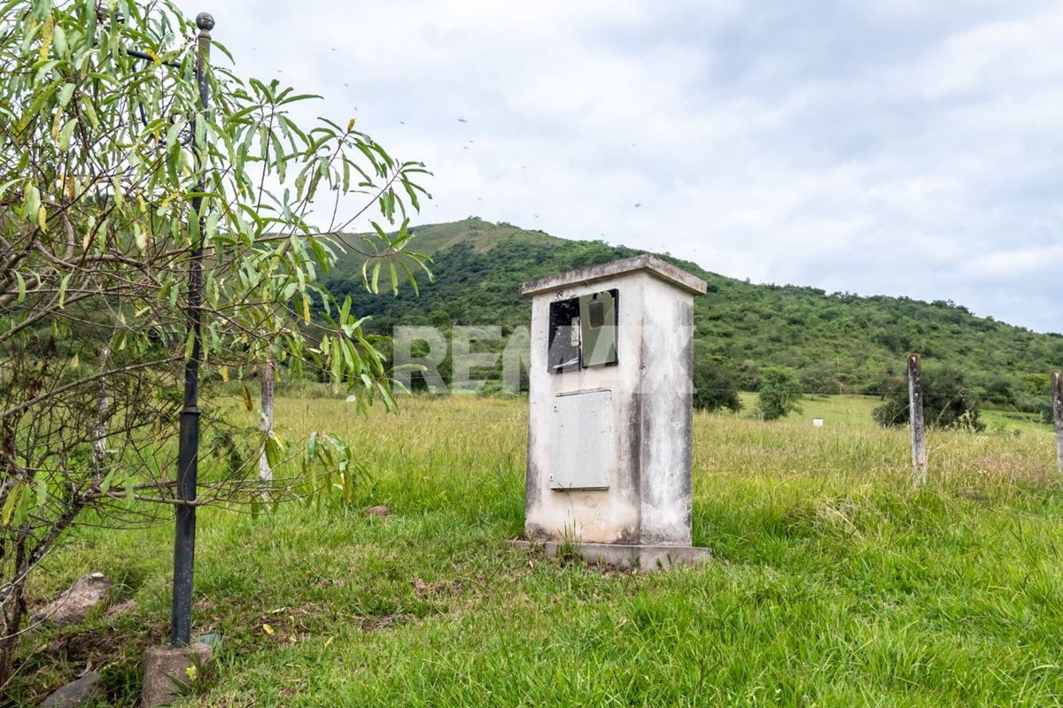 TERRENO VENTA DE 7025 M2 LA CALDERILLA - foto 10