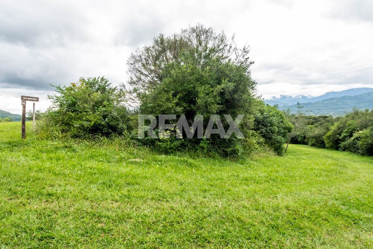 TERRENO VENTA DE 7025 M2 LA CALDERILLA - foto 13