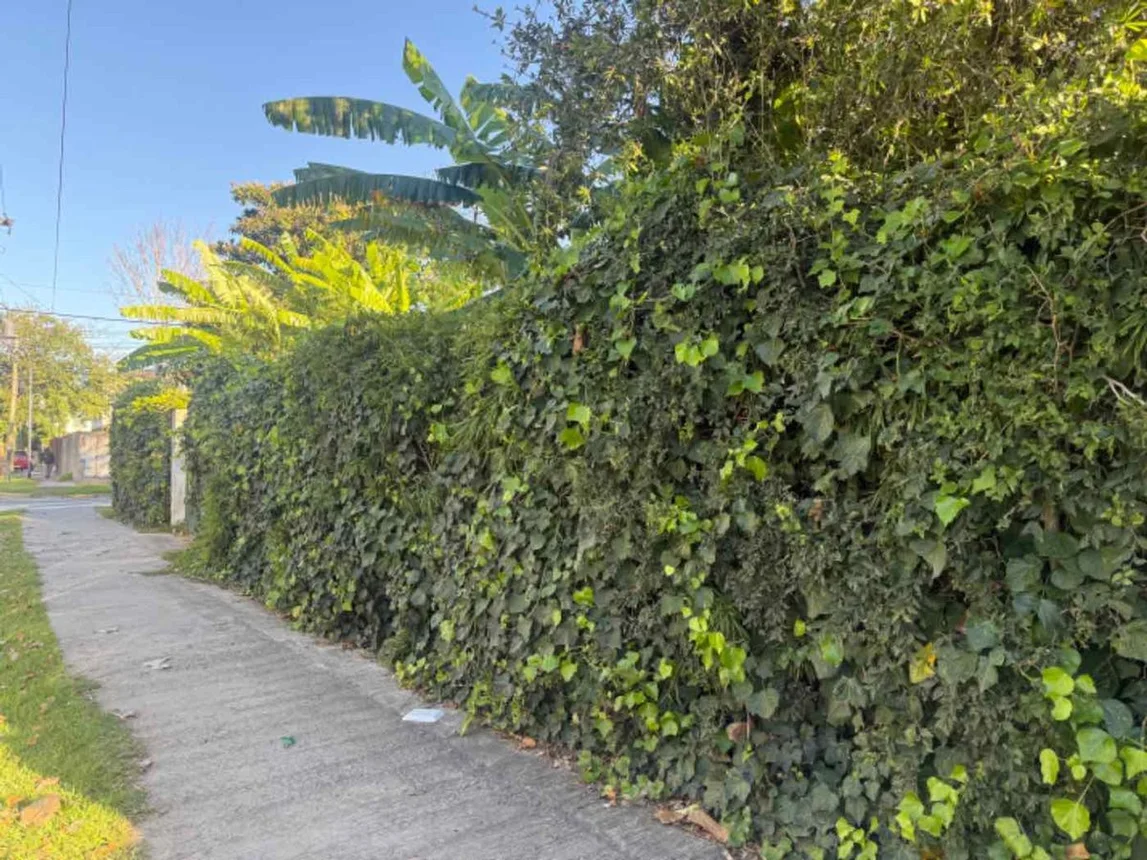 Casa en venta en Benavídez, foto 5