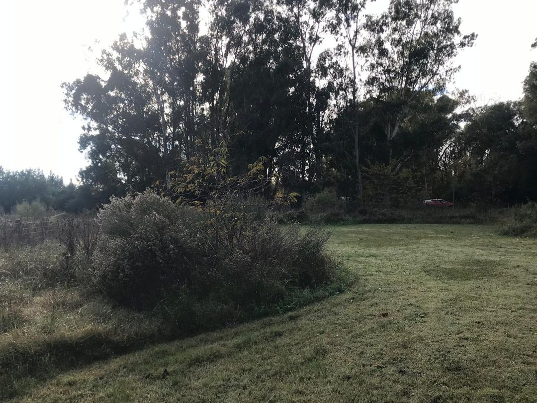 TERRENOS EN VENTA PUNTA INDIO