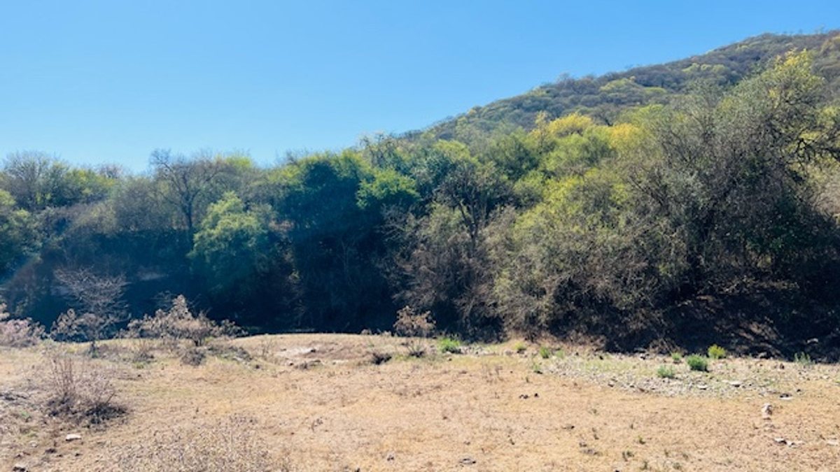 TERRENO 5HA VENTA EN FINCA LA CRUZ ZONA ESTE SALTA - foto 2