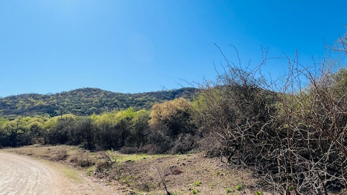 TERRENO 5HA VENTA EN FINCA LA CRUZ ZONA ESTE SALTA - foto 3