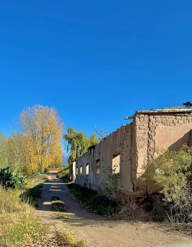 Casa de 3 ambientes en venta en Luján de Cuyo, Calle Pública S/n 0
