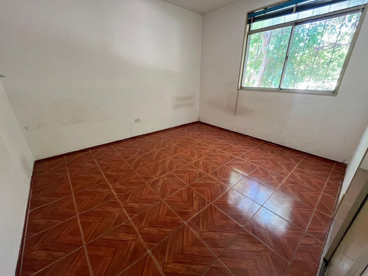 Imagen 6