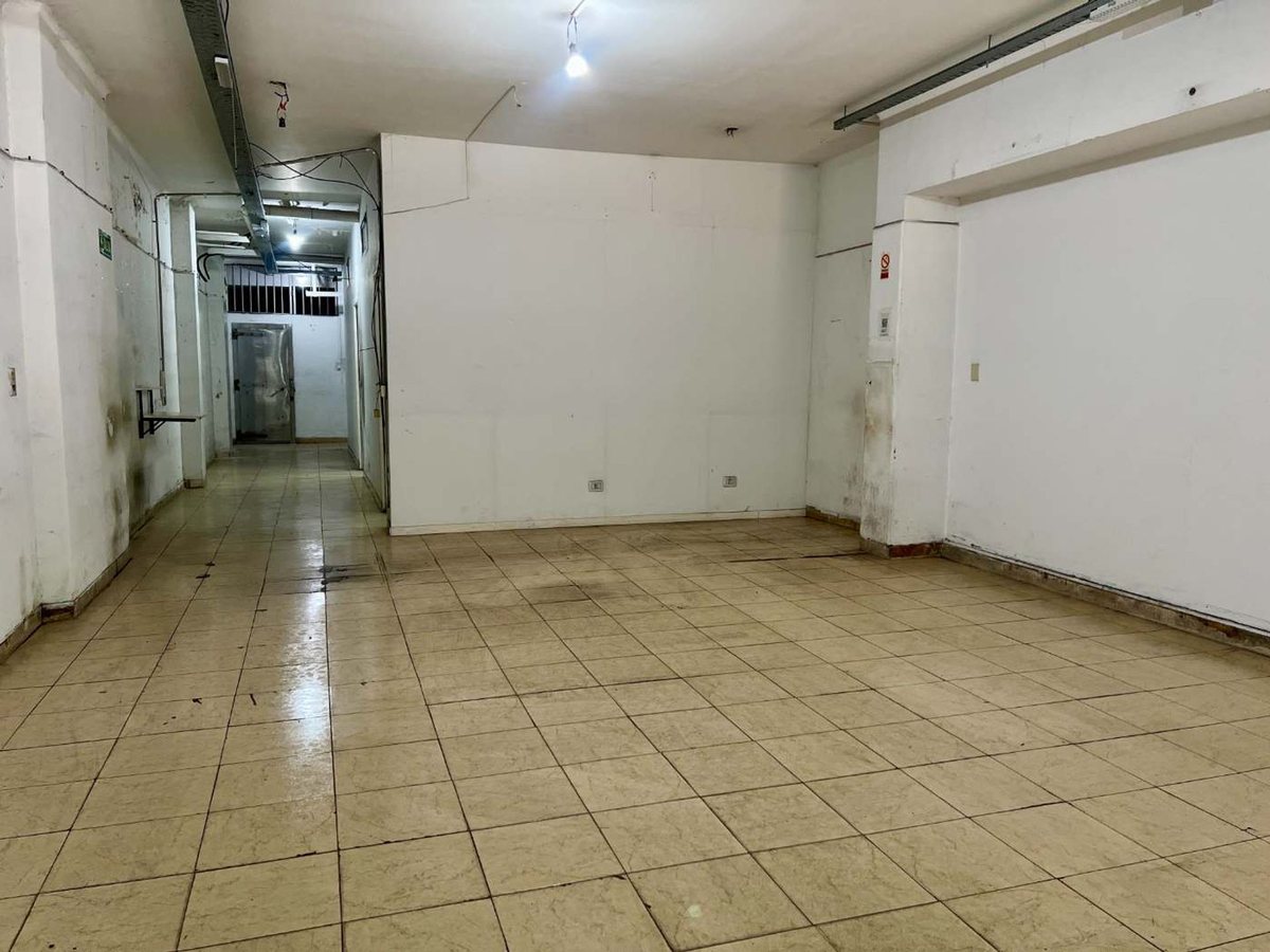 Foto 3 — LOCAL VENTA CON SOTANO BALVANERA