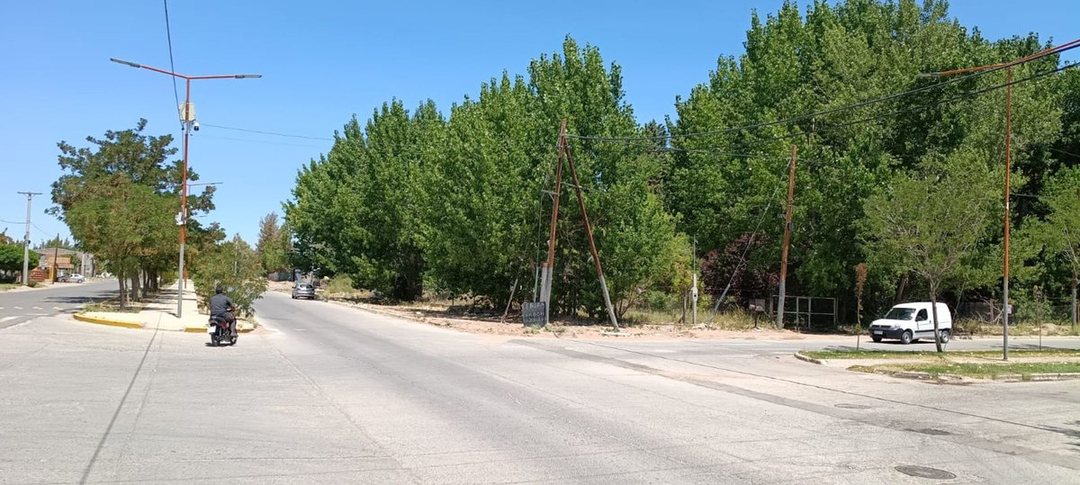 Lote 4870 m2,  muy arbolado y casa, Pza. Huincul