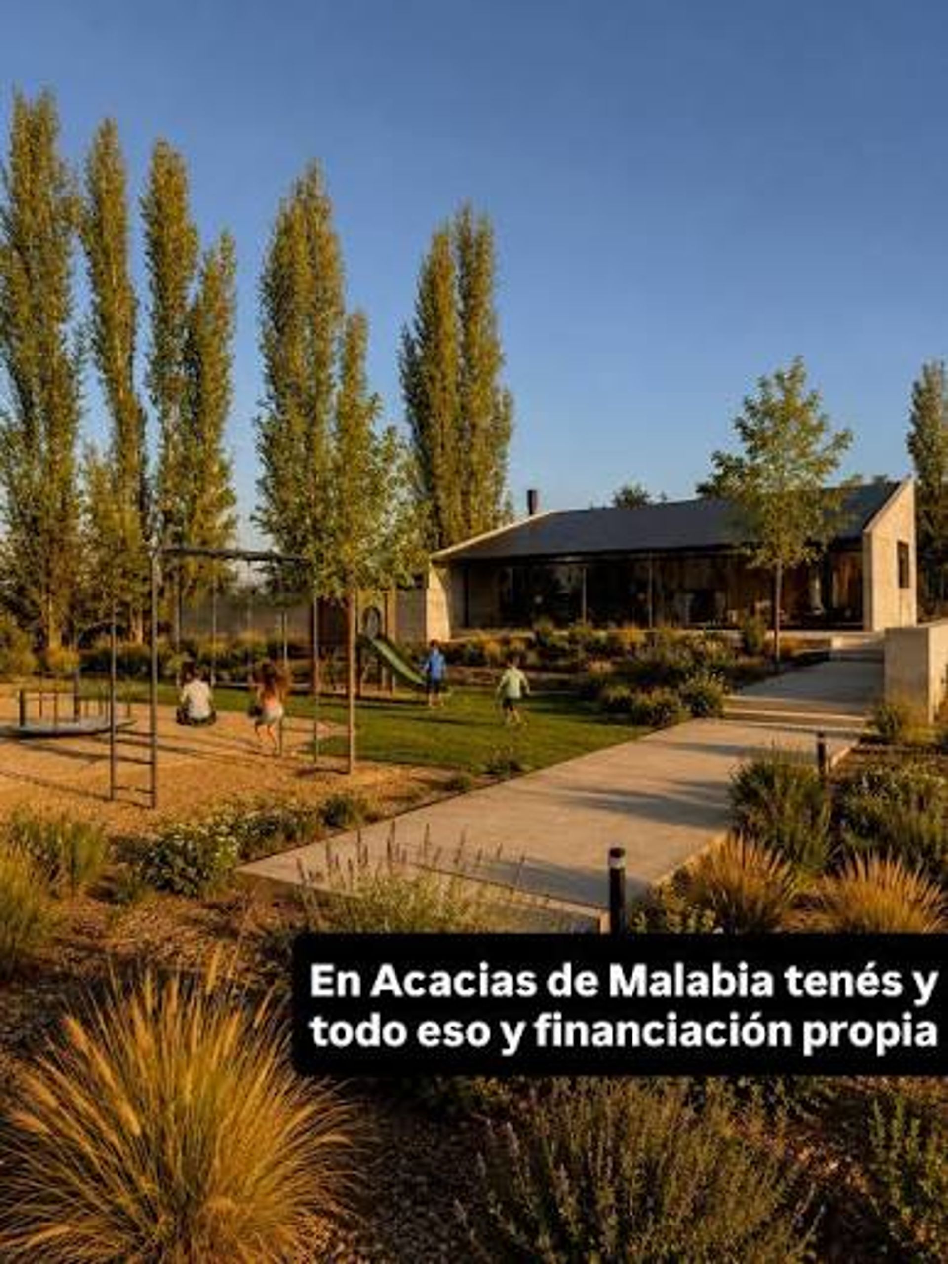 Imagen 10