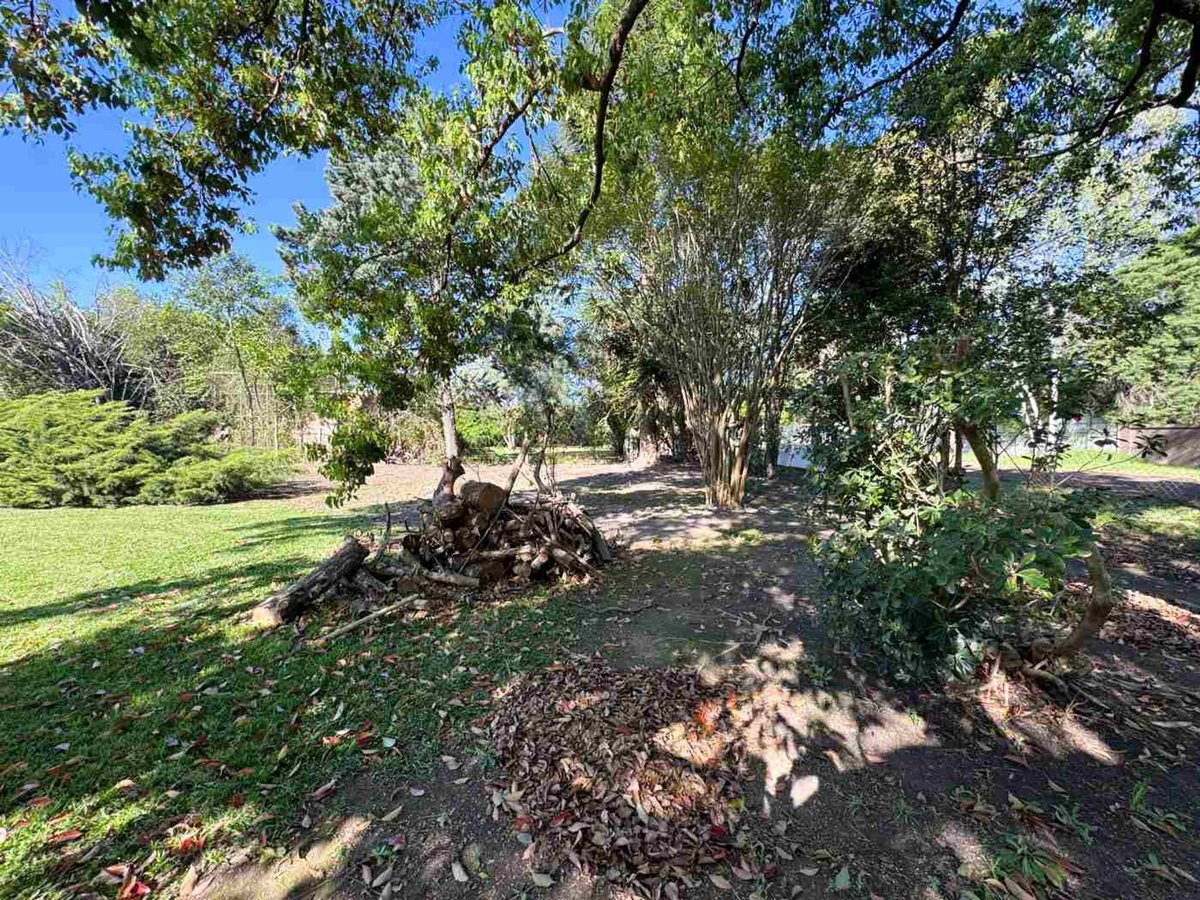 Foto 6 — LOTE ARBOLADO EN VENTA . FRENTE SUR  1187 M2 FUNES