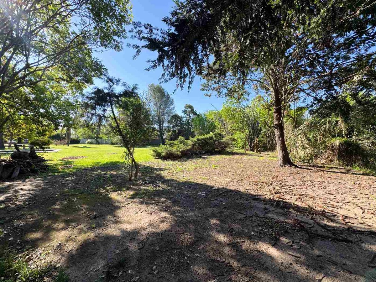 Foto 8 — LOTE ARBOLADO EN VENTA . FRENTE SUR  1187 M2 FUNES