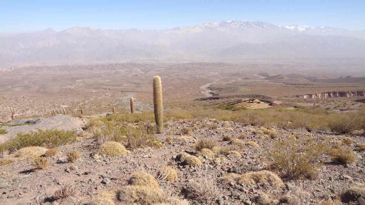 FINCA EN VENTA RUTA PROVINCIAL 40 CACHI - foto 6
