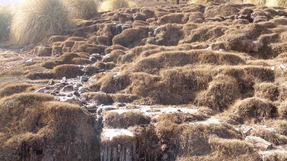 FINCA EN VENTA RUTA PROVINCIAL 40 CACHI - foto 3