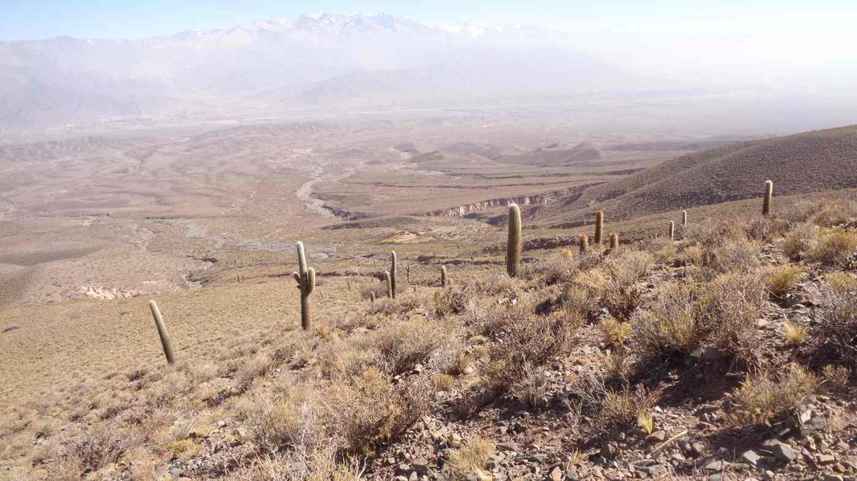 FINCA EN VENTA RUTA PROVINCIAL 40 CACHI - foto 13