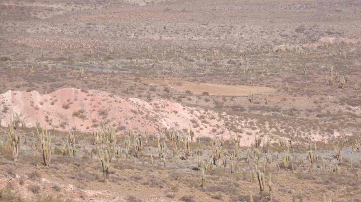 FINCA EN VENTA RUTA PROVINCIAL 40 CACHI - foto 8