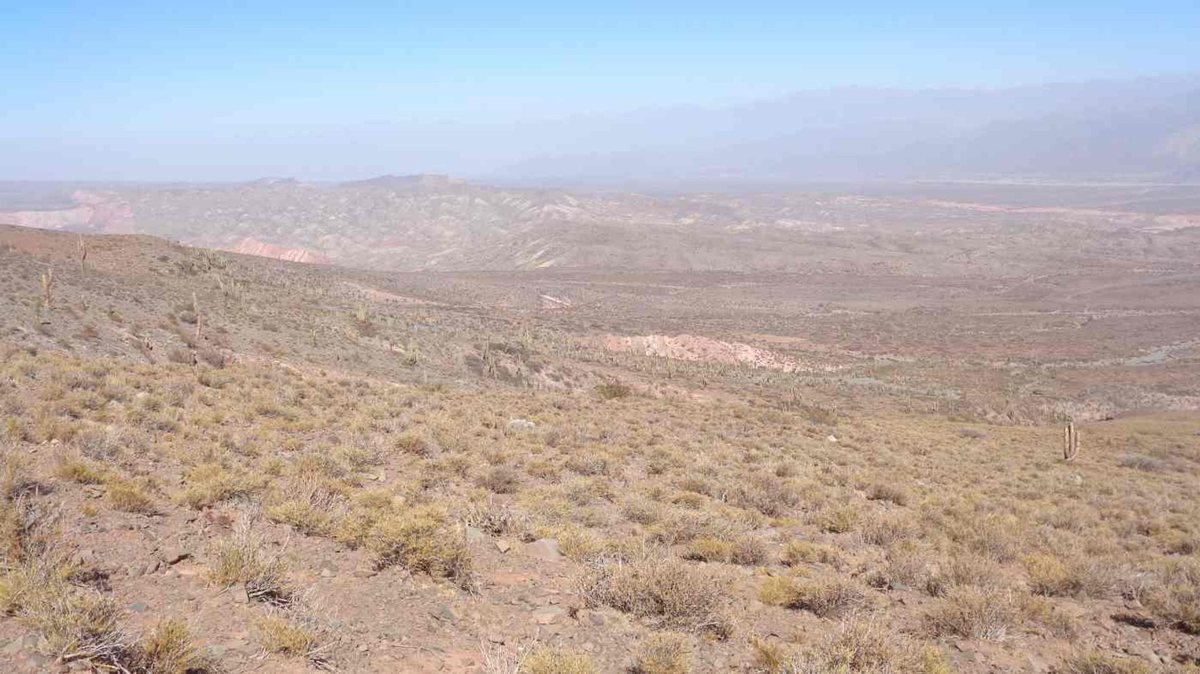 FINCA EN VENTA RUTA PROVINCIAL 40 CACHI - foto 9