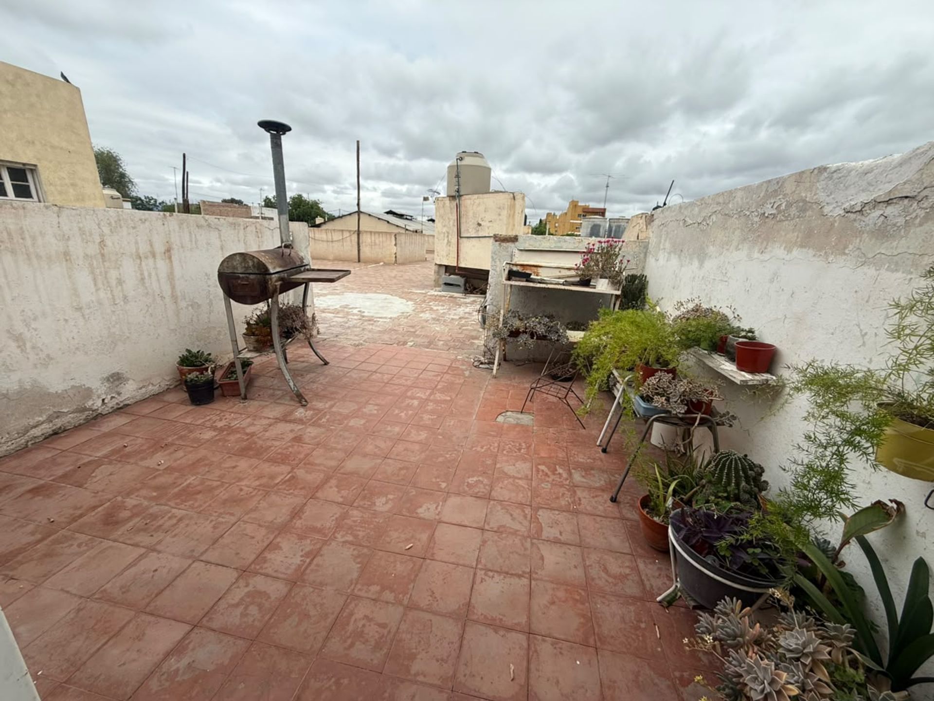 Imagen 17